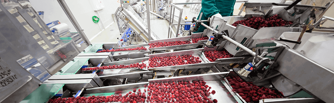 The Benefits of Outsourcing MRO Integrated Supply Chain for Food Manufacturers