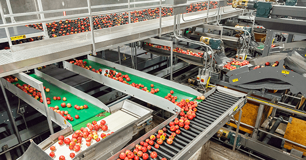 Streamlining Operations: A Food Manufacturer’s Success with an Integrated MRO Storeroom