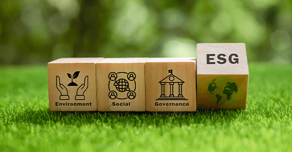 Improving Sustainability Within Your Supply Chain